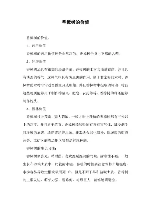 香樟树的价值