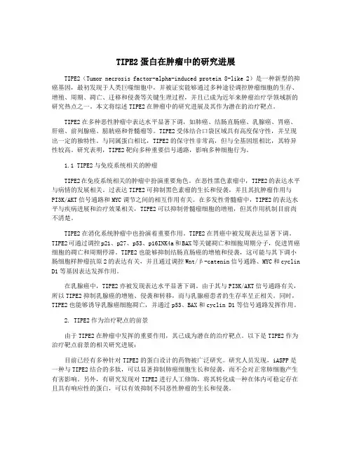 TIPE2蛋白在肿瘤中的研究进展