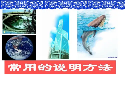 常用的说明方法