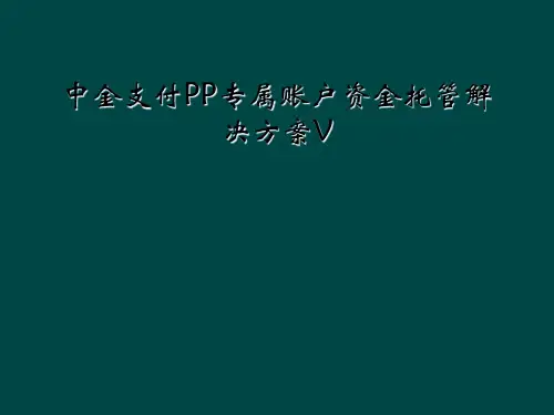 中金支付PP专属账户资金托管解决方案V