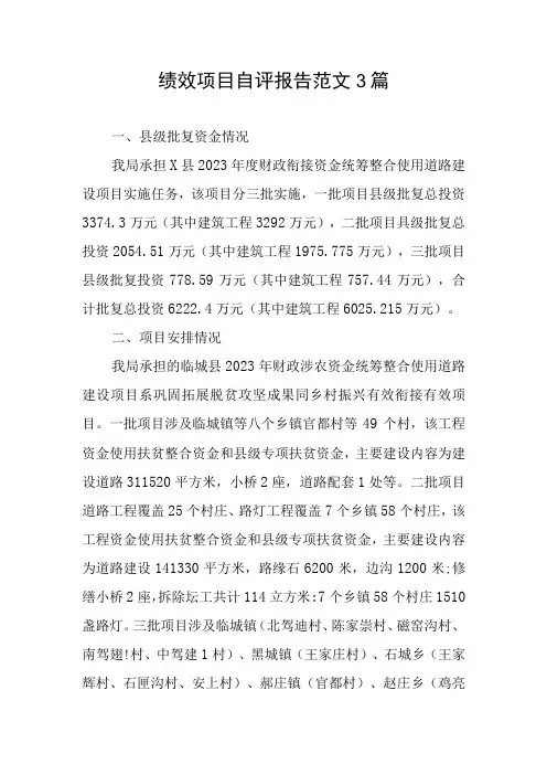 绩效项目自评报告范文3篇