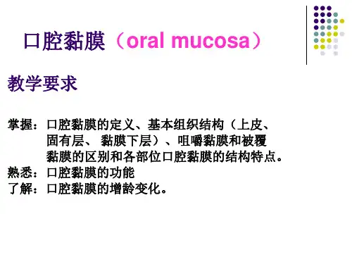 第5章口腔粘膜