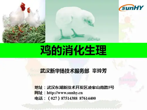 鸡的消化生理