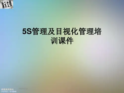 5S管理及目视化管理培训课件