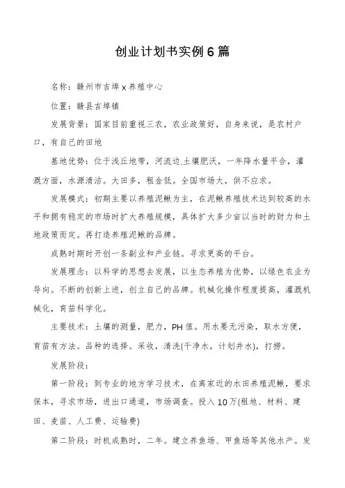 创业计划书实例6篇