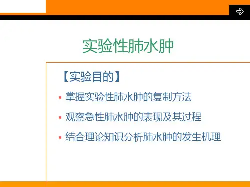实验性肺水肿