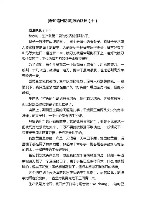 [老知青回忆录]政治队长（十）