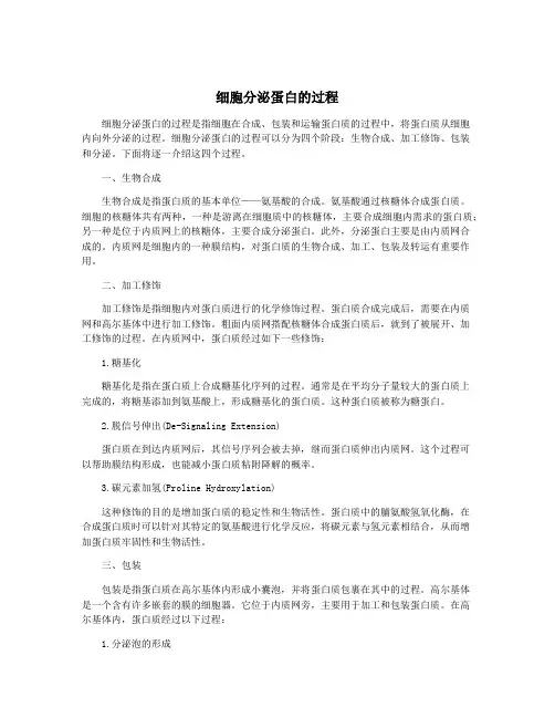 细胞分泌蛋白的过程