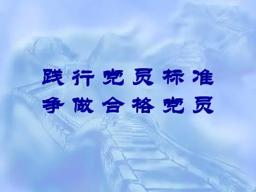 践行党员标准-争做合格党员