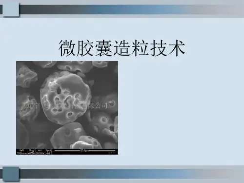 微胶囊造粒技术