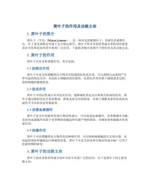 黄叶子的作用及功能主治