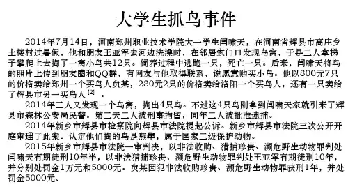 人教版《道德与法治》七年级下册 9.1 生活需要法律 课件(共34张PPT)