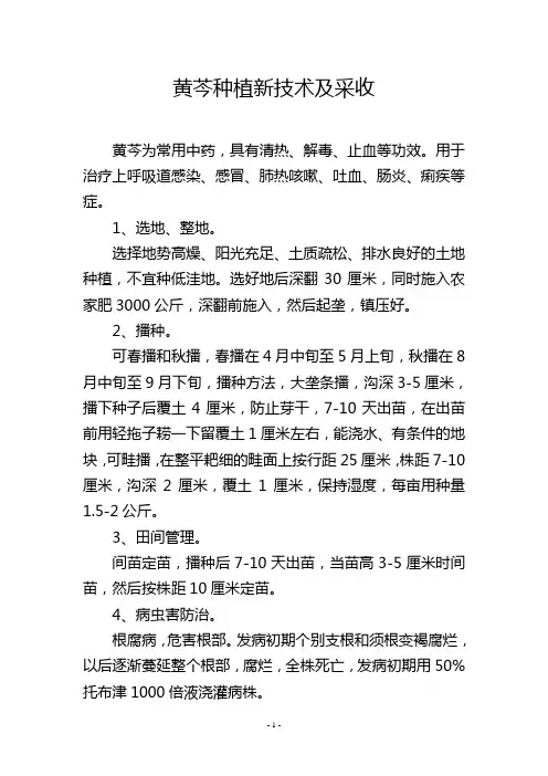 黄芩种植新技术及采收