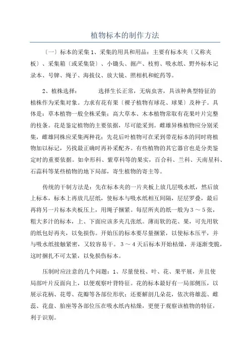 植物标本的制作方法