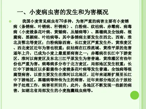 小麦病虫害防治 