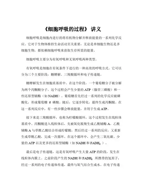 《细胞呼吸的过程》 讲义