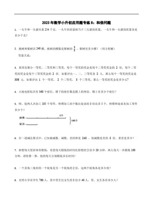 人教版六年级下册数学  小升初应用题专练8—和倍问题(专项复习)(无答案)
