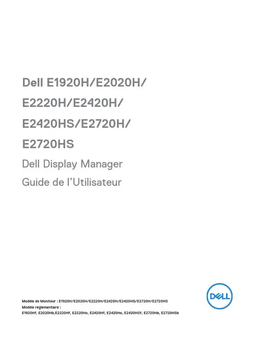 戴尔显示器管理器用户指南.pdf_1700906524.0274563说明书
