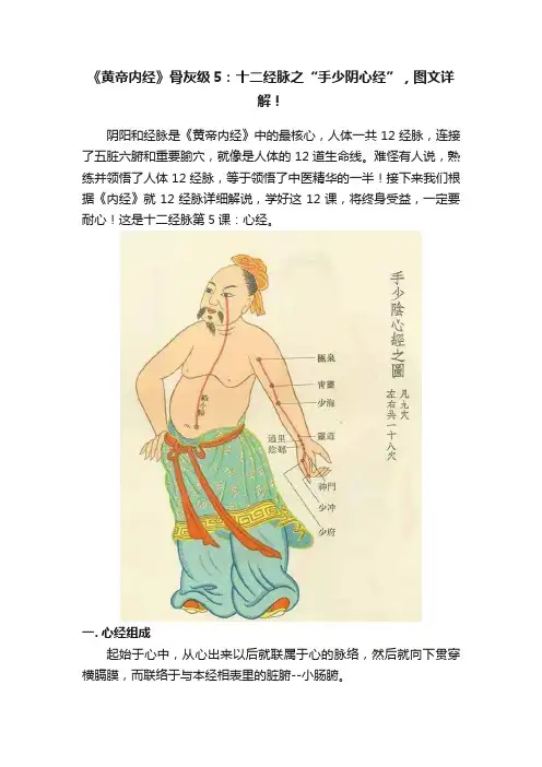 《黄帝内经》骨灰级5：十二经脉之“手少阴心经”，图文详解！
