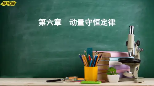 第1讲 动量和动量定理