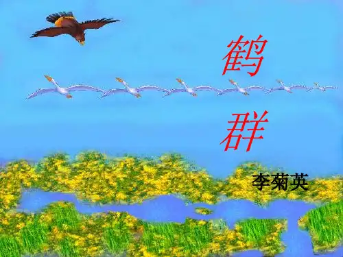 七年级下《鹤群》语文版-PPT课件