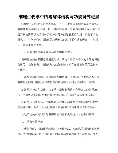 细胞生物学中的溶酶体结构与功能研究进展