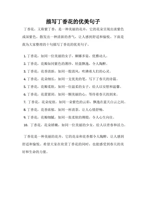 描写丁香花的优美句子