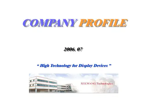 韩国科技公司英文简介PPT模板CompanyProfile