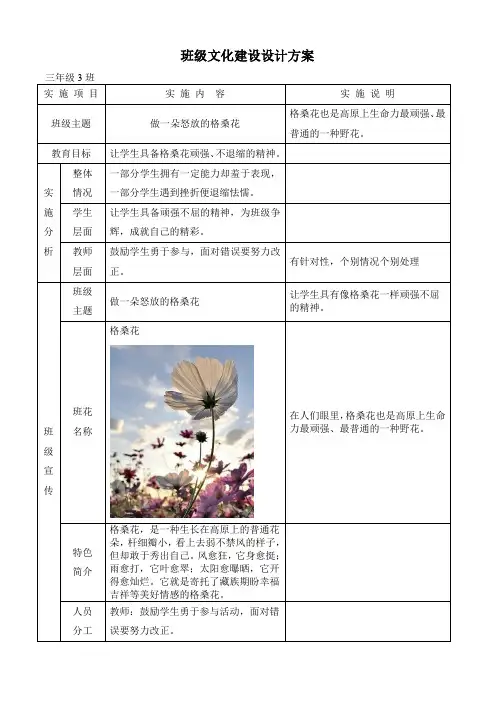 三3班级文化建设方案