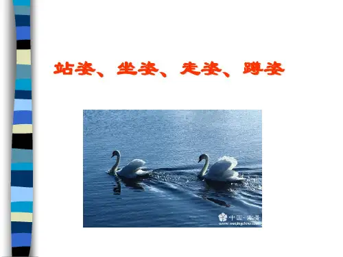 公关礼仪-7站坐走蹲