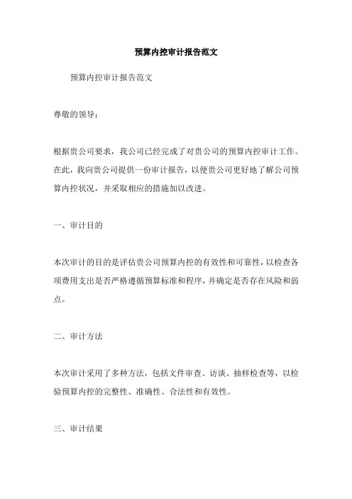 预算内控审计报告范文