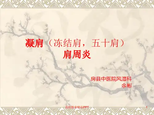 肩周炎PPT