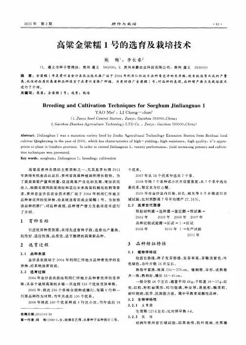 高粱金粱糯1号的选育及栽培技术