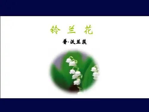 GR《铃兰花》