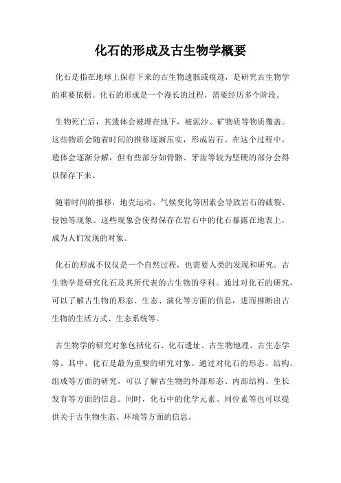 化石的形成及古生物学概要