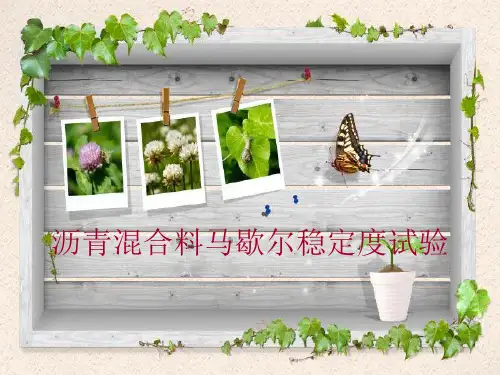 沥青混合料马歇尔试验精品PPT课件