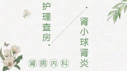 肾病内科急性肾小球肾炎护理查房