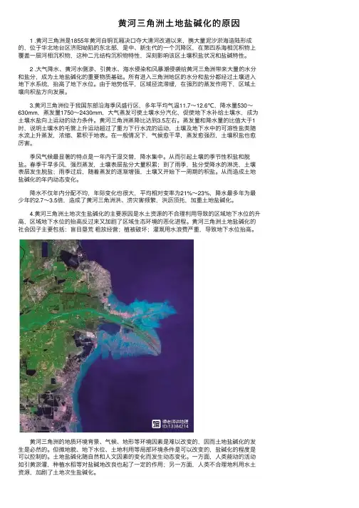 黄河三角洲土地盐碱化的原因