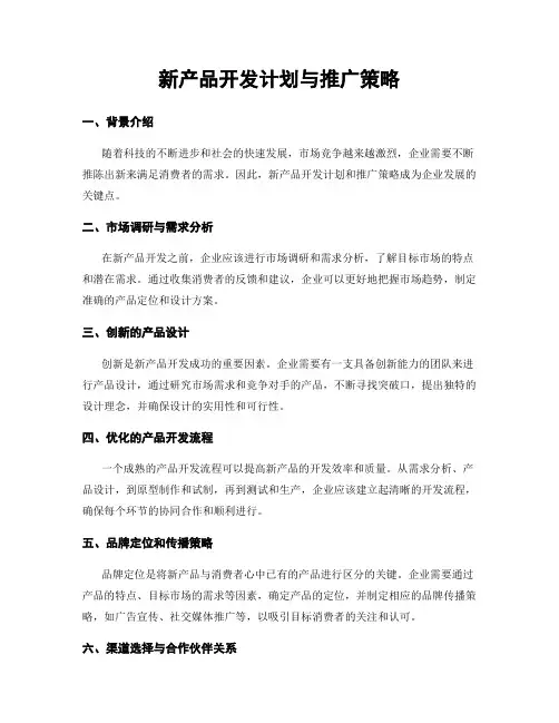 新产品开发计划与推广策略