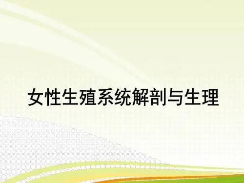 【妇】女性生殖系统解剖与生理