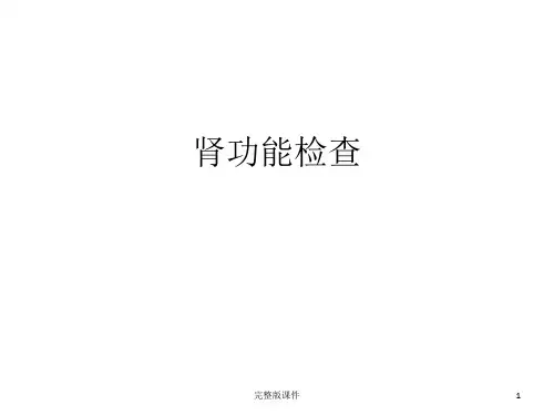 肾功PPT课件