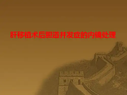 肝移植术后胆道并发症的内镜处理