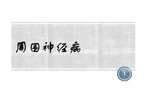 周围神经病ppt课件