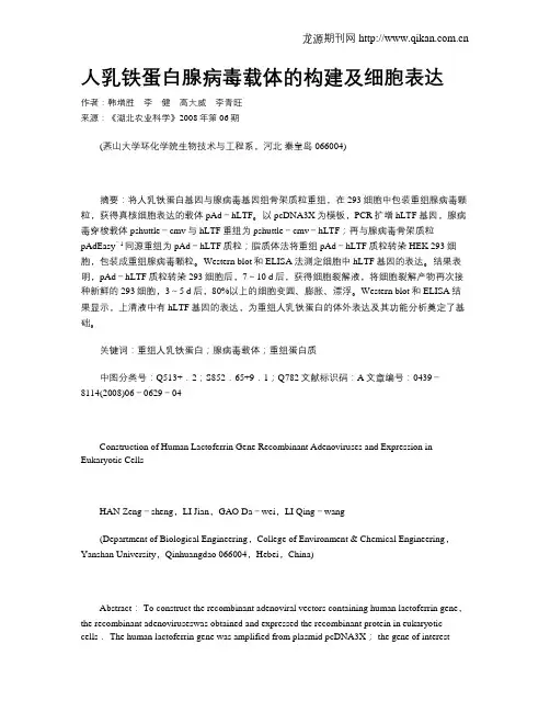 人乳铁蛋白腺病毒载体的构建及细胞表达