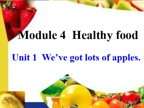 外研英语七年级上册Module 4Unit1(共28张PPT)