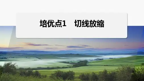 新高考数学二轮复习切线放缩培优课件
