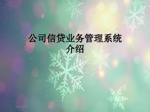 公司信贷业务管理系统介绍