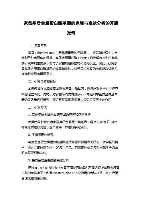 家蚕基质金属蛋白酶基因的克隆与表达分析的开题报告
