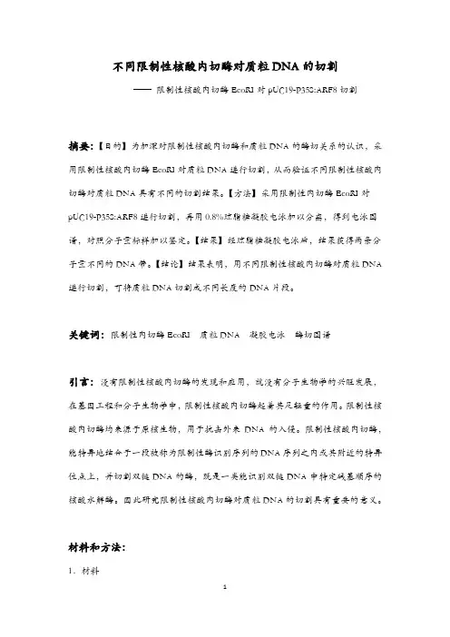 不同限制性核酸内切酶对质粒DNA的切割