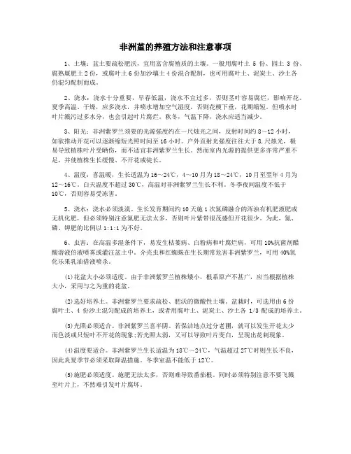 非洲堇的养殖方法和注意事项